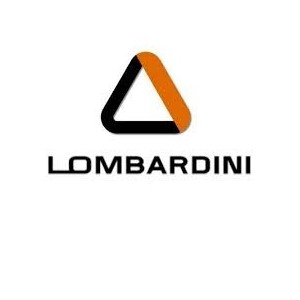 Lombardini LDW602 MG motor