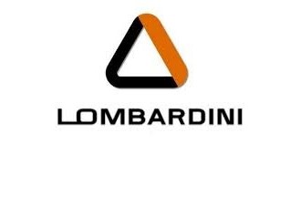 Lombardini Pakning