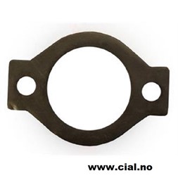 Termostat pakning