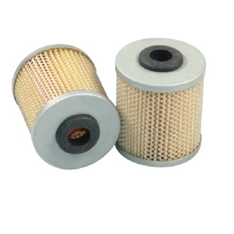 Diesel Filter Ruggerini RF MD