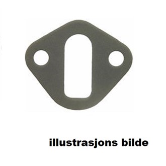 Gasket for feeding pump