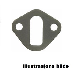 Gasket for feeding pump