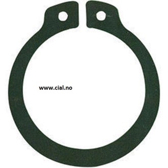 Seeger ring