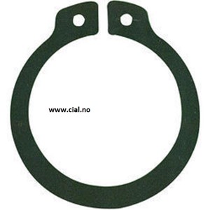 Seeger ring
