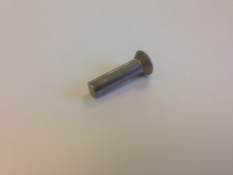 RIVET