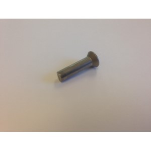 RIVET