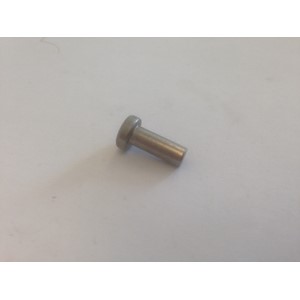 RIVET