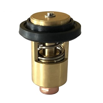 Yanmar Termostat