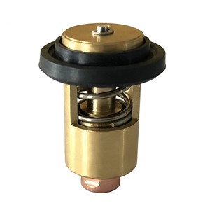 Yanmar Termostat