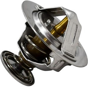 Yanmar termostat