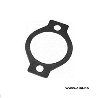 Pakning for termostat