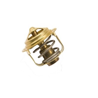 Termostat Yanmar TNE